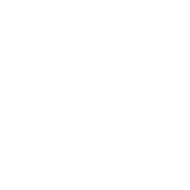 instagram-icon